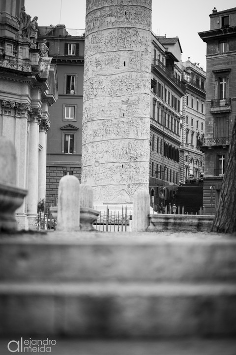 _MG_0142