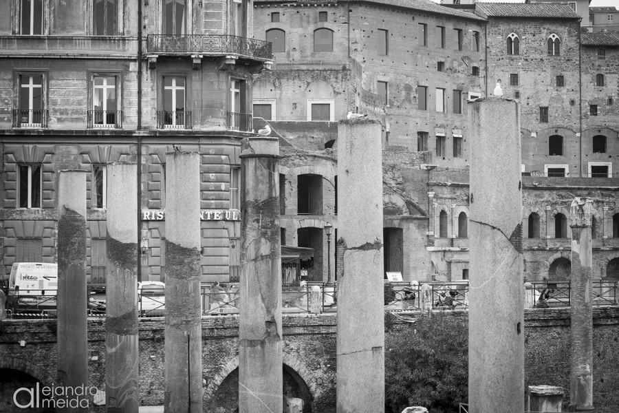 _MG_0149