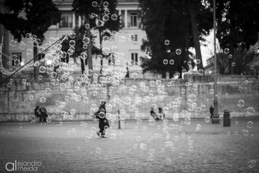 _MG_0395
