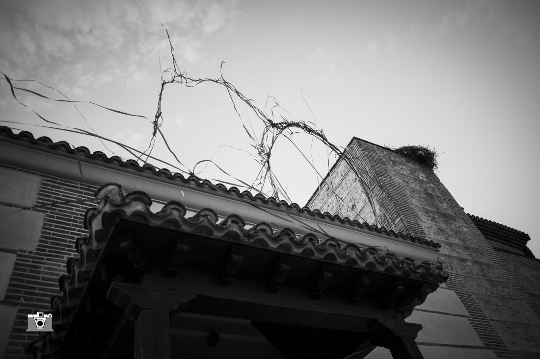 BODAMARIAN&FELIPE-0117